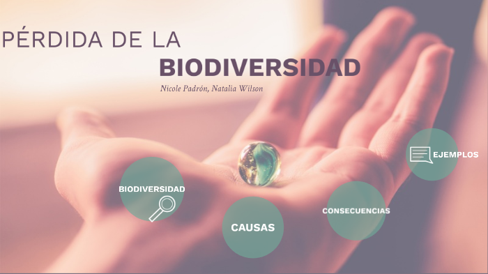 Pérdida De La Biodiversidad By Natalia Wilson On Prezi 4892