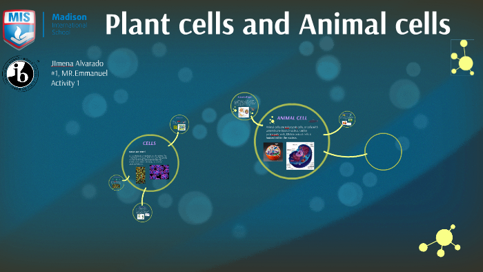 plant cells and Animal cells by jimena alvarado on Prezi