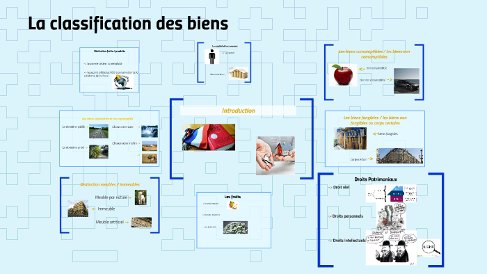 La Classification Des Biens By Gabrielle Gorin On Prezi