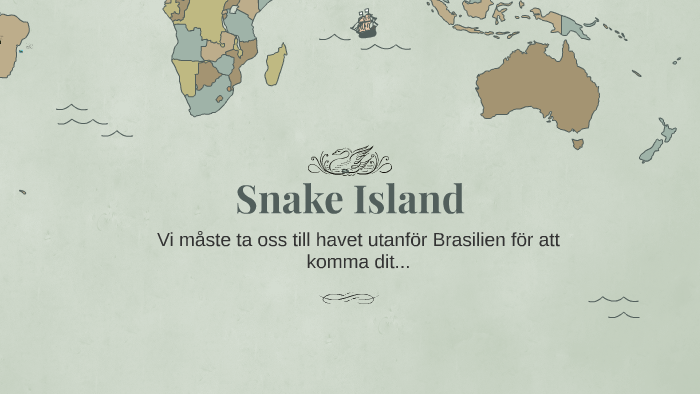 Snake Island (Ilha da Queimada Grande) - Atlas Obscura