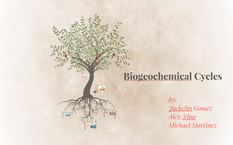 Biogeochemical Cycles by Jackie Gomez on Prezi