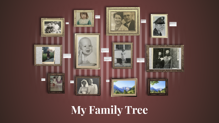 My Family Tree by Megan Martin on Prezi