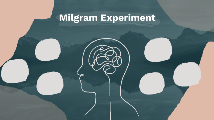 das milgram experiment verhaltensbiologie 4