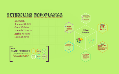 Retikulum Endoplasma By Natasha Jesslyn On Prezi