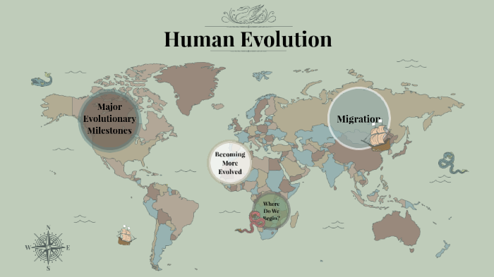 Human Evolution by Olivia Silas on Prezi