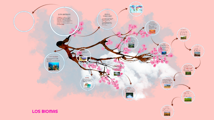 LOS BIOMAS by Fer Belen on Prezi