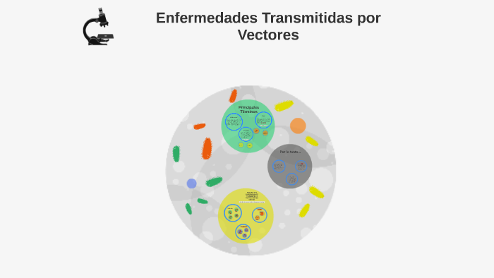 Enfermedades Transmitidas Por Vectores By Carol Gual On Prezi 8080