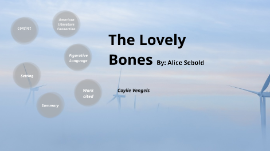 the lovely bones summary