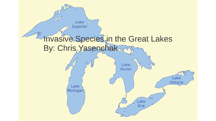 Invasive Species in the Great Lakes by Chris Yasenchak on Prezi
