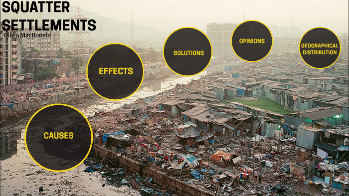 Squatter Settlements Meaning Geography