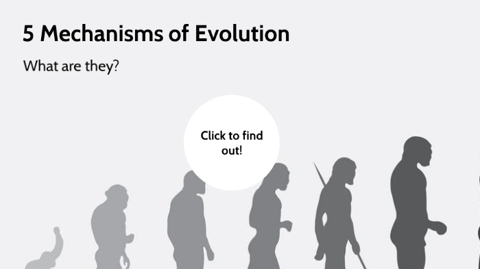 5 Mechanisms of Evolution by Abigail Utama