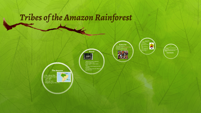 Tribes of the Amazon Rainforest by Kyle Kish on Prezi