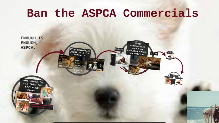 Ban The Aspca Commercials By Simone Henderson On Prezi Next