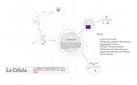 La Célula by Ana Paula Nuñez Acosta on Prezi