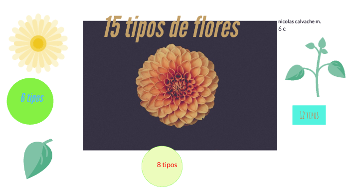 15 tipos de flores by Nicolas Calvache