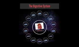 The digestive System by colton lawson on Prezi