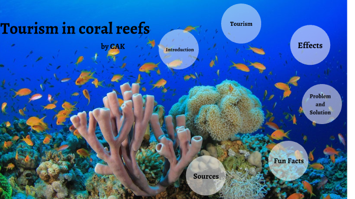 how does tourism damage coral reefs