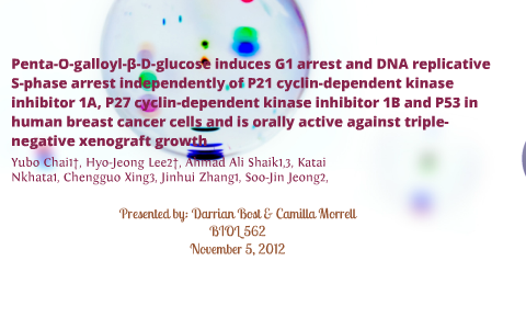 Cancer essay conclusion picture