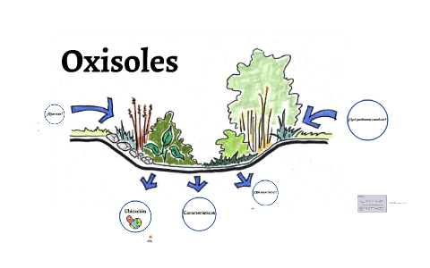 Oxisoles by Luisa Mejía Sequera on Prezi