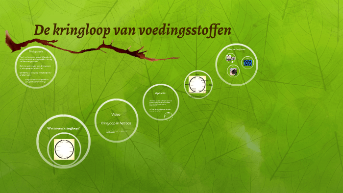 DE KRINGLOOP VAN VOEDINGSSTOFFEN by maaike goedendorp on Prezi