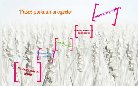 Pasos para un proyecto by paty del castillo on Prezi