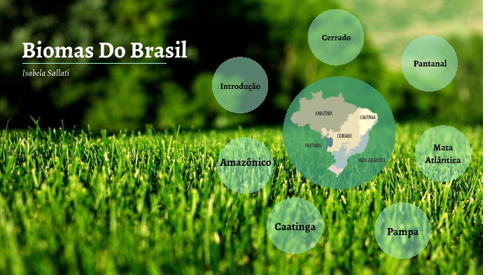BIOMAS DO BRASIL - ISABELA SALLATI 2A by Isabela Sallati on Prezi