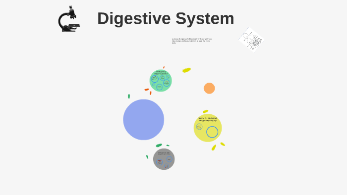 Digestive System by Maureen Cruz Cruz on Prezi