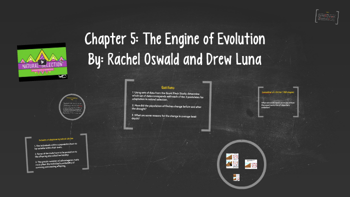 Chapter 5 Evolution Chapter 5: The Engine of Evolution by Rachel Oswald on Prezi