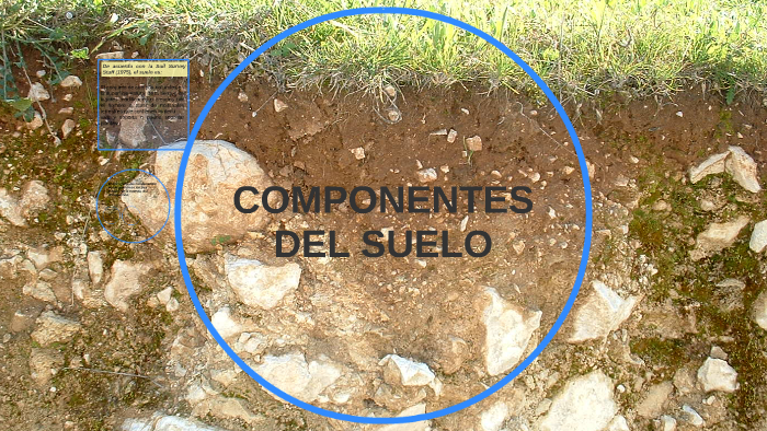 COMPONENTES DEL SUELO by Manuel Jesús García García on Prezi