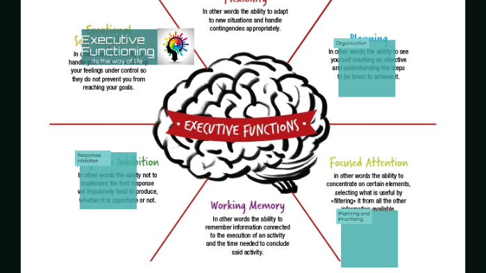 Executive Functioning skills by Benjamin Golubiewski on Prezi