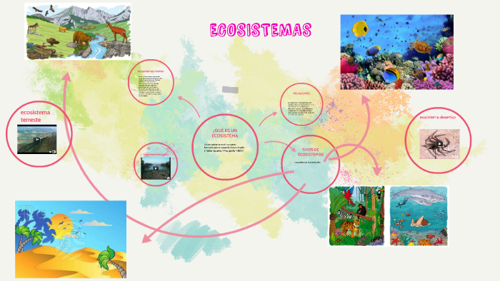 ECOSISTEMAS by andres valencia on Prezi