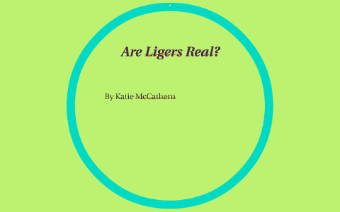 Are Ligers Real? by on Prezi