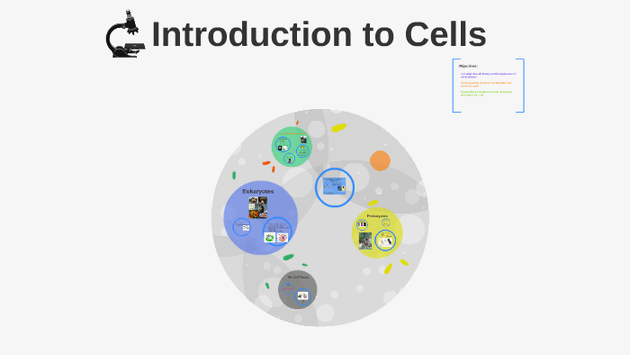 Introduction to Cells by on Prezi