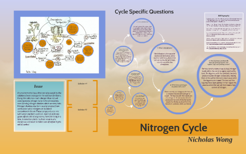Nitrogen Cycle by Nicholas Wong on Prezi