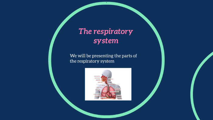 The respitory system by julian valdez