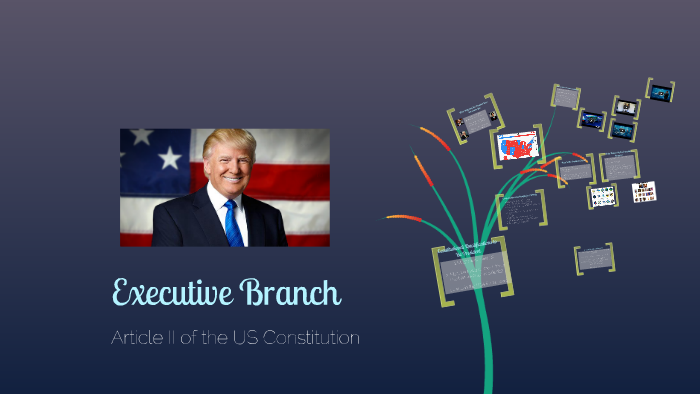 Executive Branch Presidential Perks By Mary Klement