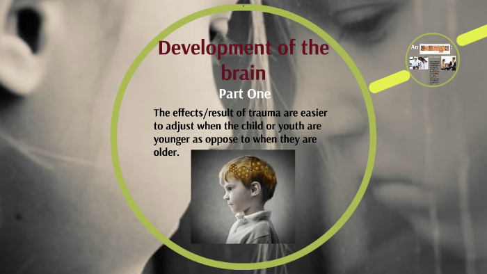 Working With Traumatized Children And Youth By Vanessa Torres On Prezi