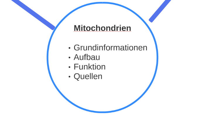 Mitochondrien By