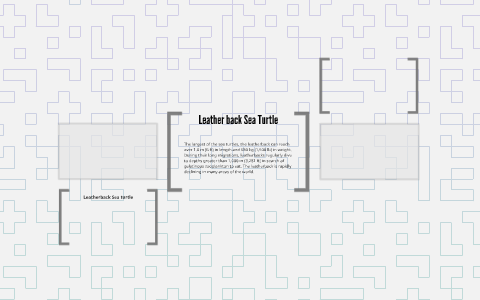 Leatherback Sea turtle by cole mccrary on Prezi