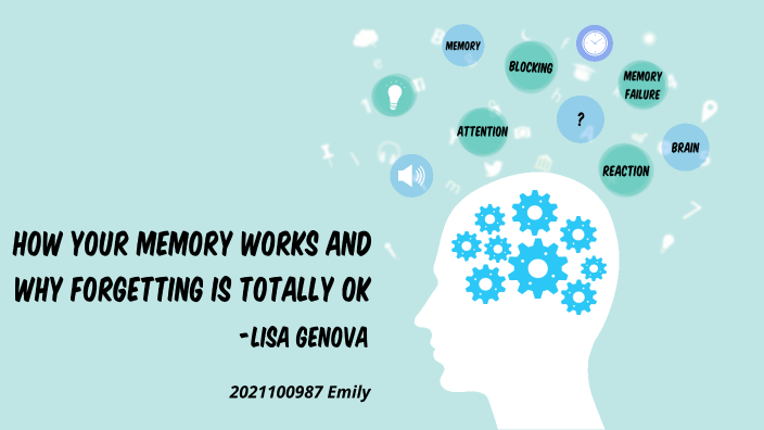 How Your Memory Works By 정아 신 On Prezi