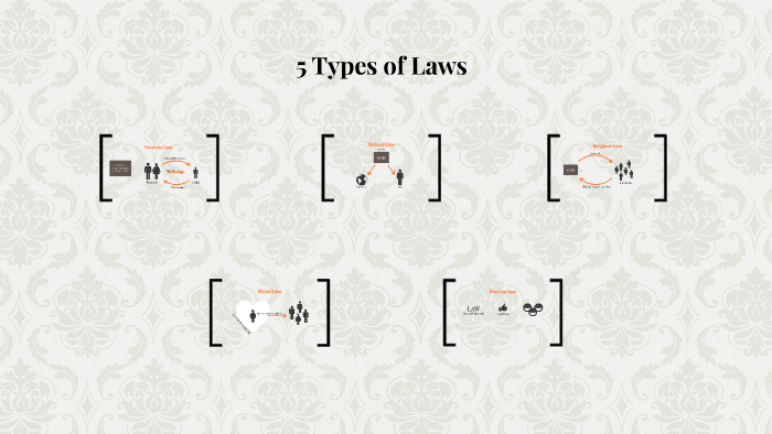 5-types-of-laws-by-kylie-nelson