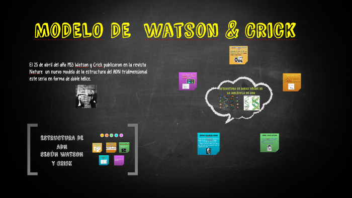 MoDELO DE Watson & Crick by viviana 