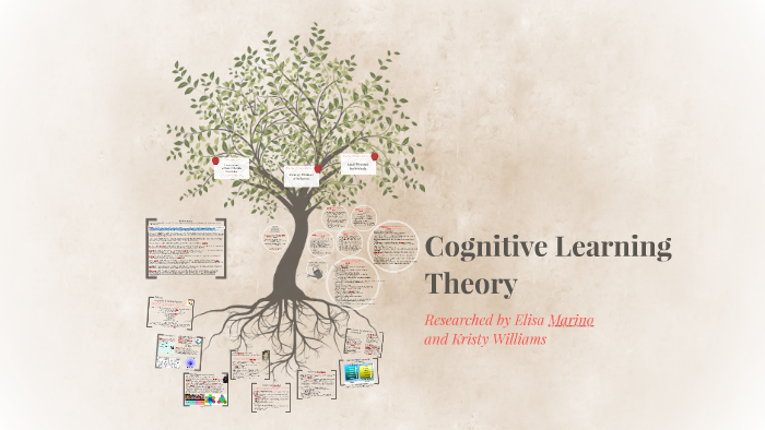 cognitive-learning-theory-benefits-strategies-and-examples-2022