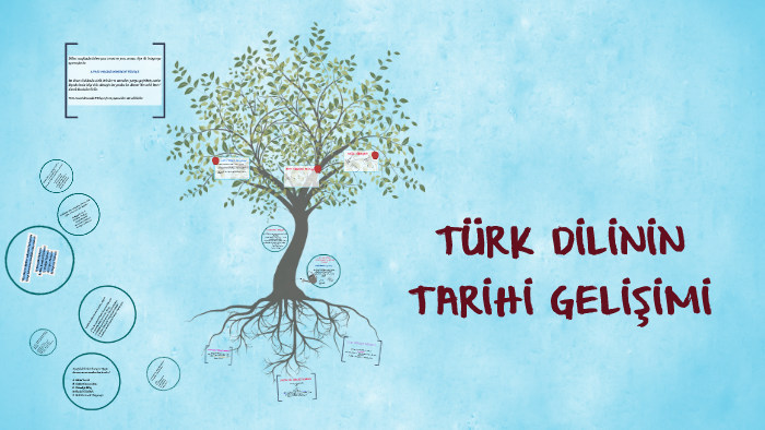 turk dilinin tarihi gelisimi by tamer turan