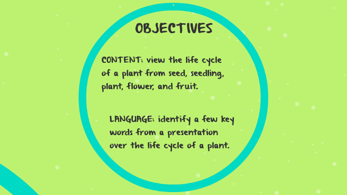 does-a-plant-have-a-life-cycle-by-kristin-ryman