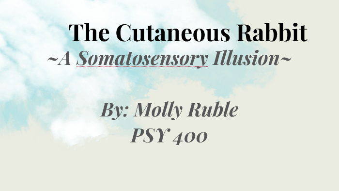 Cutaneous Rabbit Illusion | The Cutaneous Rabbit Hopping out of the ...