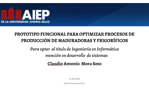 PROTOTIPO FUNCIONAL PARA OPTIMIZAR PROCESOS DE PRODUCCIÓN DE by Claudio ...