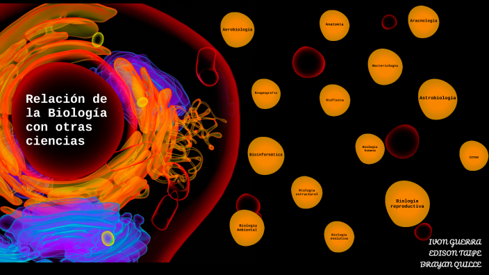 Relación De La Biología Con Otras Ciencias By Alejandra Condolo On Prezi