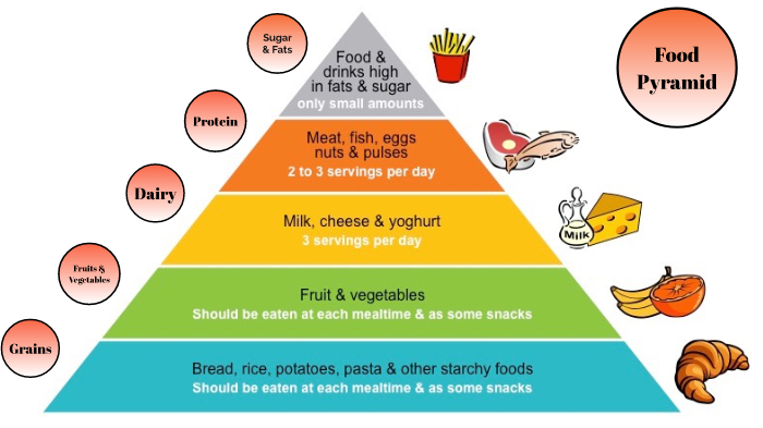 Food Pyramid Project by Erik Vincent