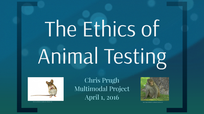 The Ethics of Animal Testing by Chris Prugh